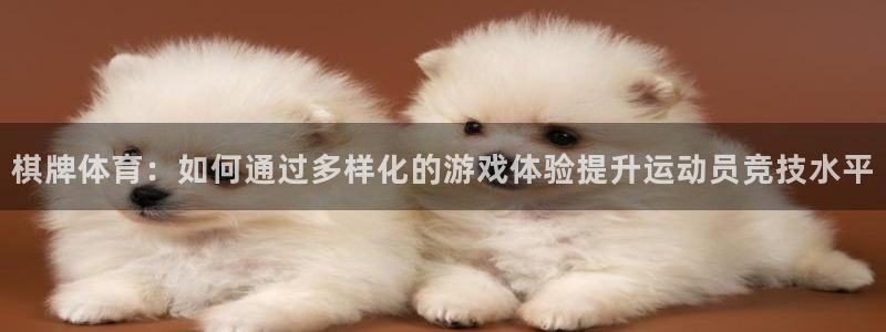 bbin视讯下：棋牌体育：如何通过多样化的游戏体验提升运动员竞技水平