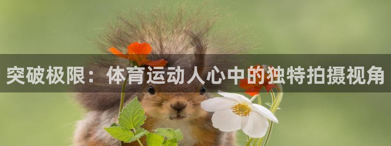 bbin视讯游戏平台：突破极限：体育运动人心中的独特拍摄视角