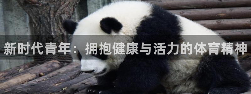bbin视讯游戏官网：新时代青年：拥抱健康与活力的体育精神