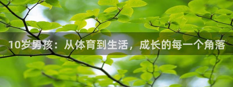 bbin视讯游戏官网：10岁男孩：从体育到生活，成长的每一个角落