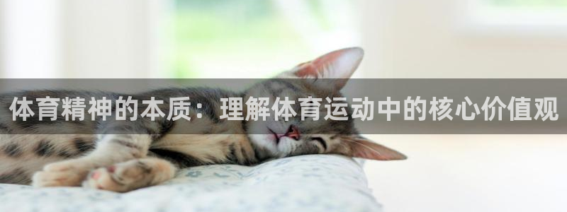 bbin视讯游戏官网：体育精神的本质：理解体育运动中的核心价值观