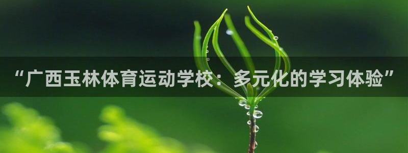 bbin视讯下：“广西玉林体育运动学校：多元化的学习体验”