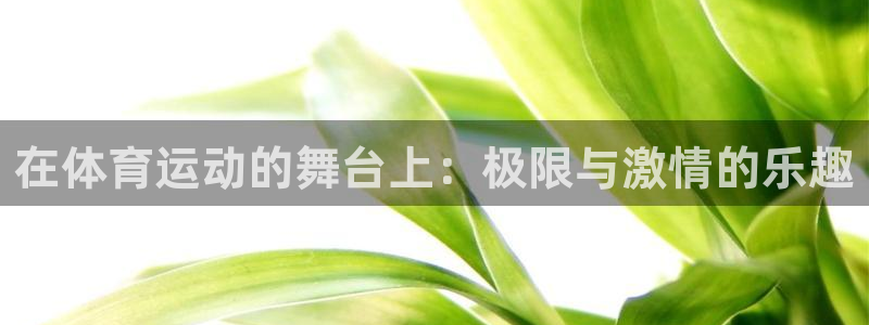 bbin视讯下