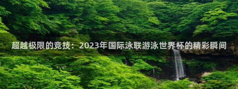 bbin视讯游戏平台：超越极限的竞技：2023年国际泳联游泳世界杯的精彩瞬间