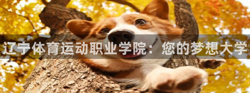 bbin视讯下：辽宁体育运动职业学院：您的梦想大学