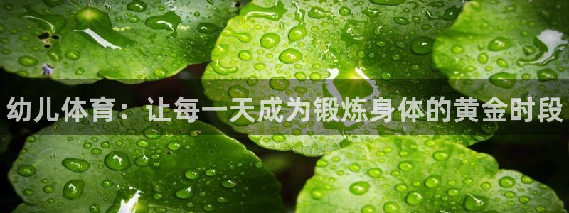 bbin视讯下：幼儿体育：让每一天成为锻炼身体的黄金时段