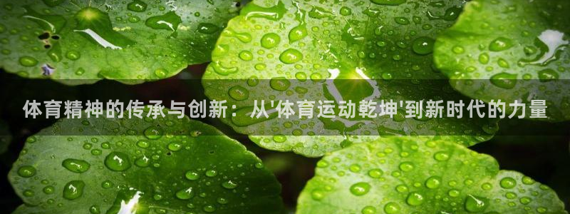 bbin视讯