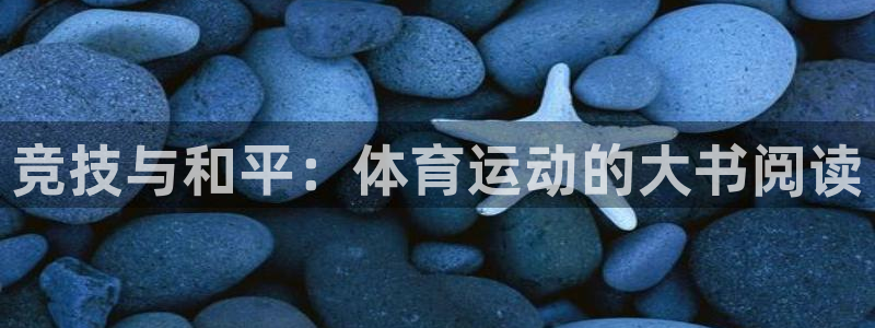 bbin视讯下