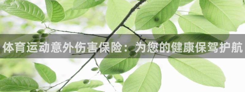 bbin视讯游戏官网
