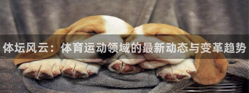 bbin视讯