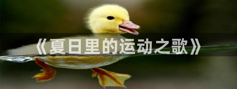 bbin视讯游戏官网