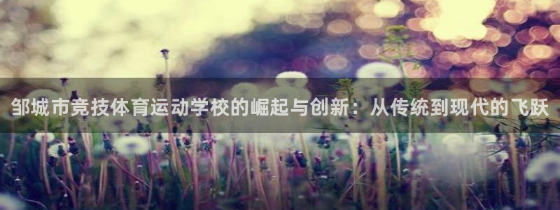 bbin视讯