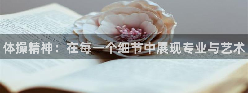 bbin视讯下