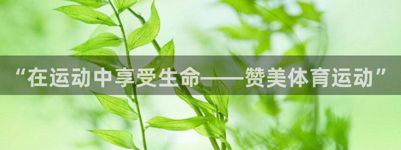 bbin视讯：“在运动中享受生命——赞美体育运动”