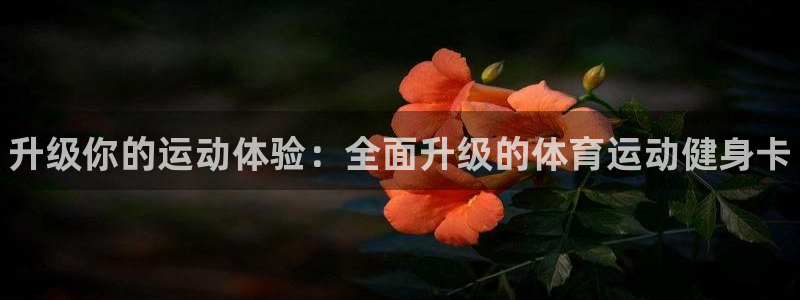 bbin视讯游戏官网
