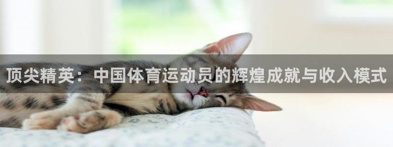 bbin视讯下