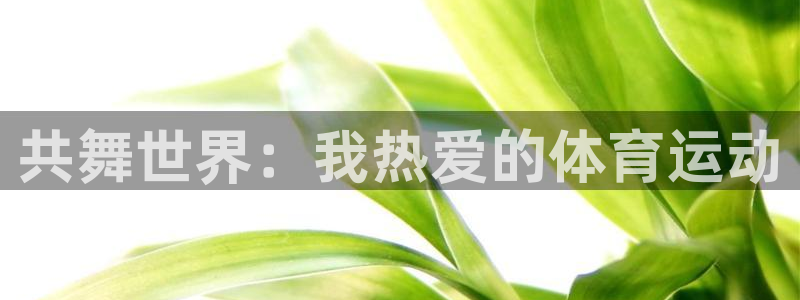bbin视讯游戏官网