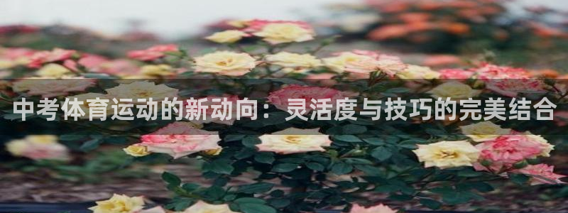 bbin视讯下