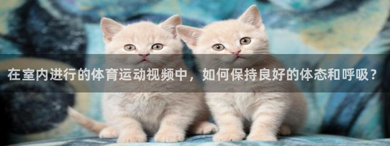bbin视讯下