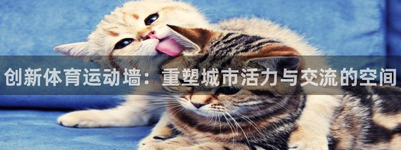 bbin视讯下