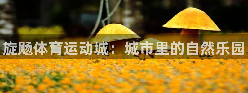 bbin视讯下：旋飏体育运动城：城市里的自然乐园