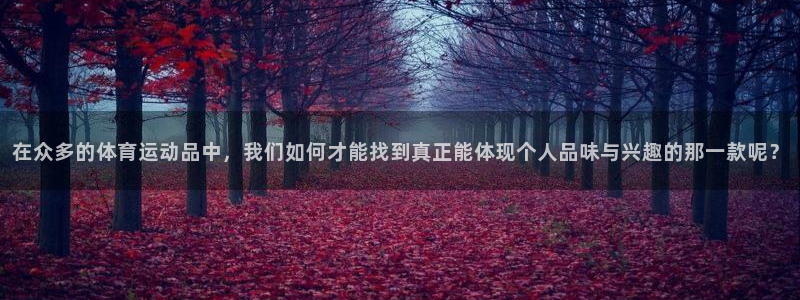 bbin视讯游戏平台：在众多的体育运动品中，我们如何才能找到真正能体现个人品味与兴趣的那一款呢？