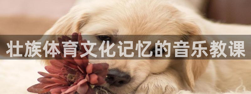 bbin视讯游戏平台：壮族体育文化记忆的音乐教课