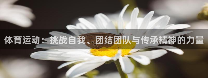 bbin视讯下：体育运动：挑战自我、团结团队与传承精神的力量